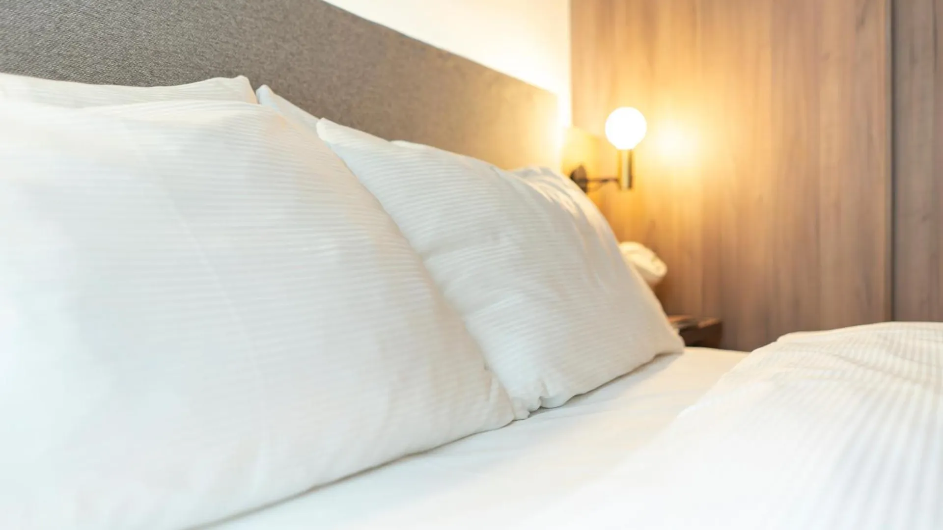 40 Plus 1 Hotel Vienna Austria
