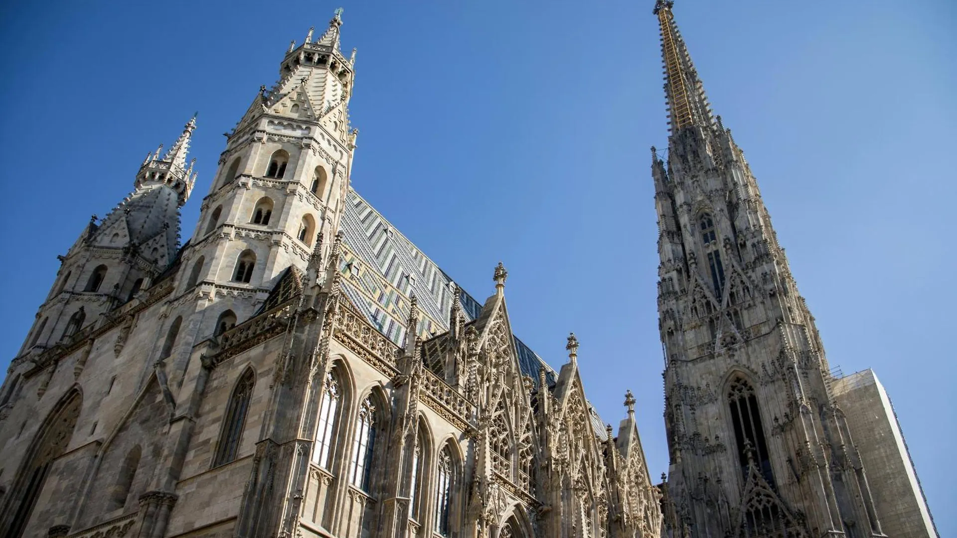 40 Plus 1 Hotel Vienna 0*,